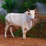 5AE213A3-CD39-4FD2-BDB3-CAFD9D533F80