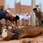 922AE3B1-E5DA-4117-B118-80C7BC35DA80