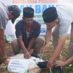 DB52660D-64B8-4ACA-AF45-976A7D456D27